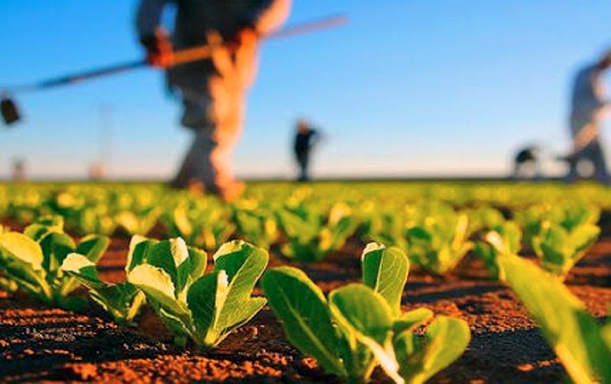 Programa de Capacitação para Pequenos Agricultores: